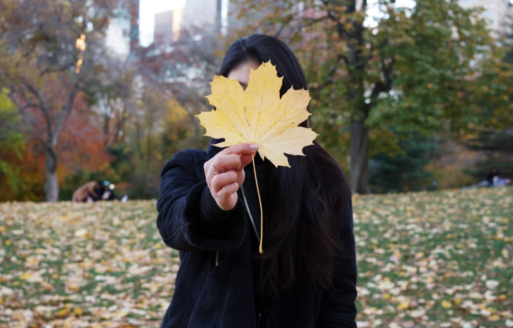 New York City Autumn