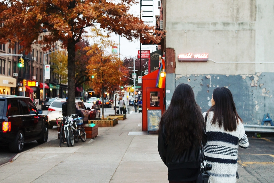 Autumn Brooklyn Wanderings