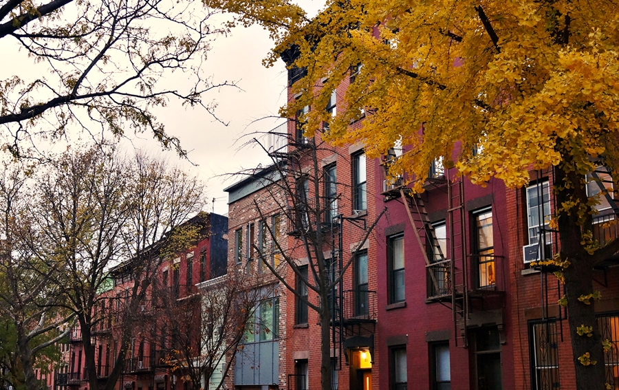 Autumn Brooklyn Wanderings