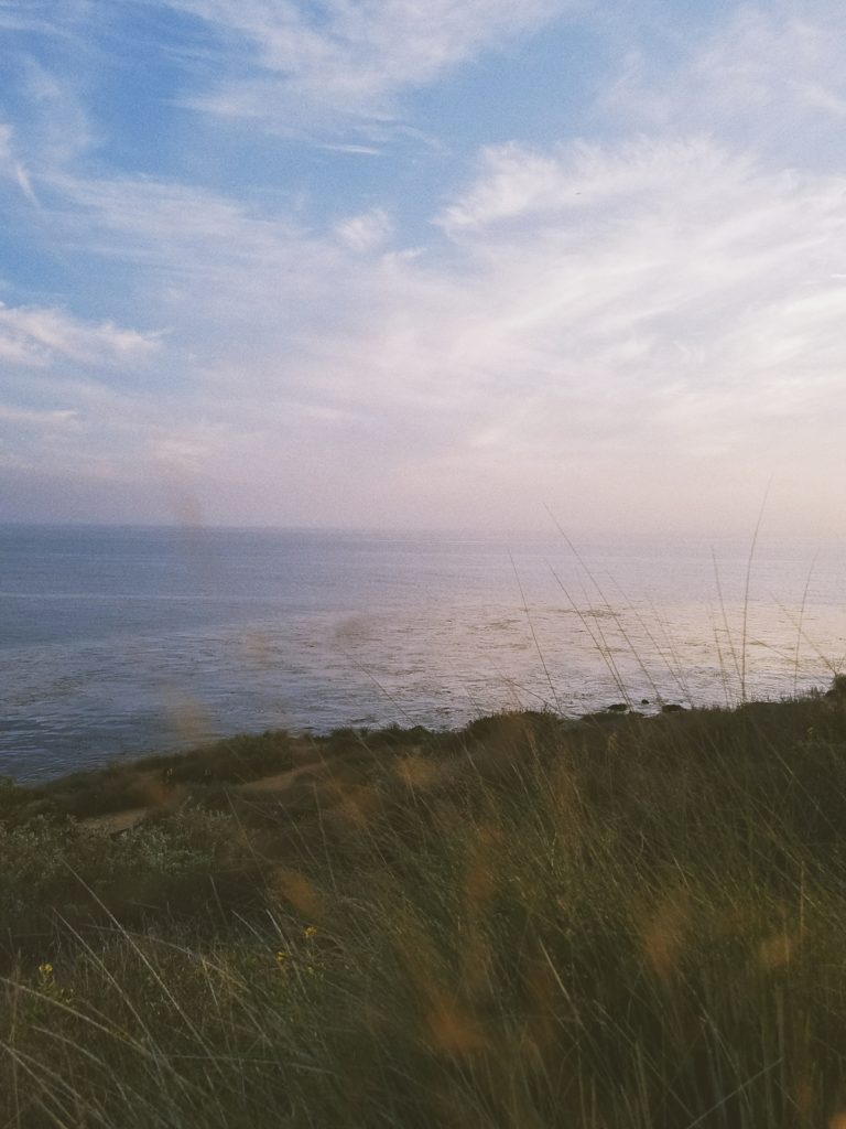 Palos Verdes beach